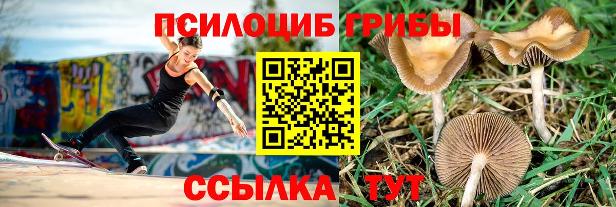 Галлюциногенные грибы мухоморы Амурск