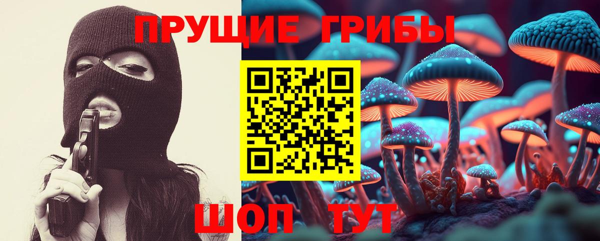 Амурск  Псилоцибиновые грибы ЛСД  Галлюциногенные грибы ЛСД  Вход с VPN 